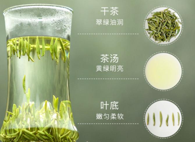 位于綠茶頂端的四款名優(yōu)茶，都有誰(shuí)？