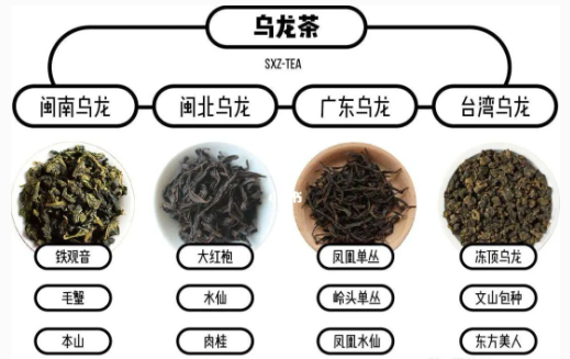  烏龍茶都有哪些品種？（ 烏龍茶都有那些？）