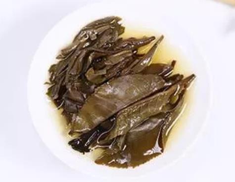 【健康茶飲】哪一種茶刮油最厲害？（能讓你減