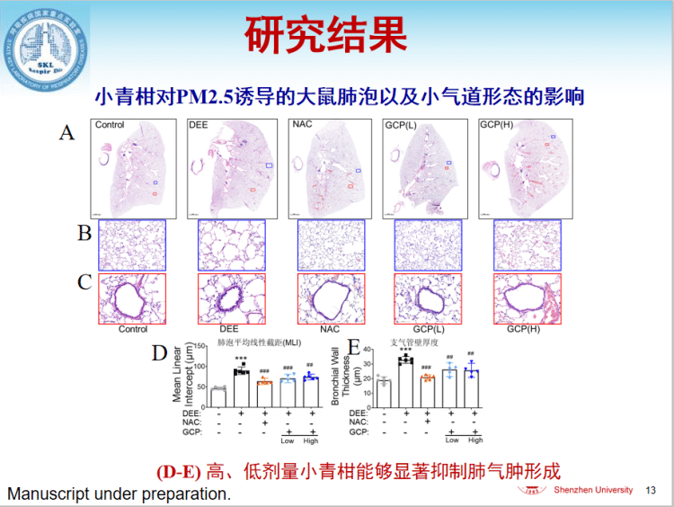 2020最新研究小青柑逆轉(zhuǎn)PM2.5誘導(dǎo)的肺氣腫形成