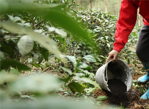 怡品茗英德紅茶這個品牌怎么樣？（收藏）