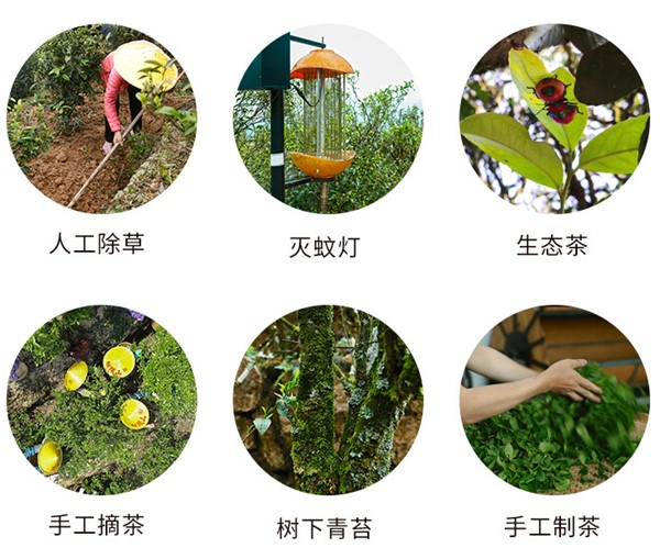 鳳凰單叢茶哪個牌子好？翔鳳山鳳凰單叢茶好！