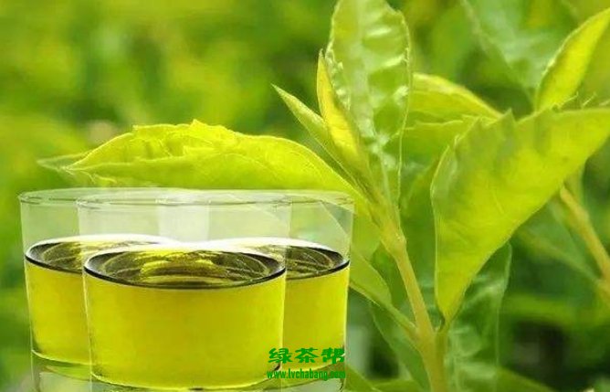 【茶知識】哪些茶能抗癌？茶為何能抗癌？