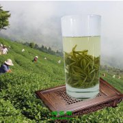 天柱山茶什么檔次？天柱山茶怎么喝好？