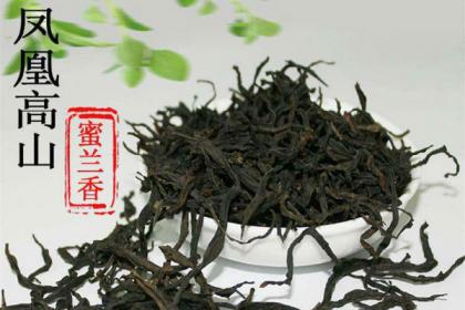 鳳凰單叢茶蜜蘭香的功效 單叢茶正確泡法