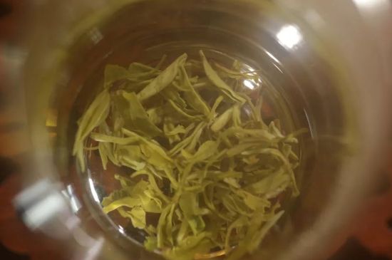 碧螺春正確泡法和飲用，碧螺春茶泡茶方法與溫度