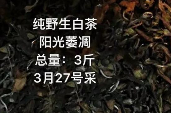 朋友圈賣(mài)茶葉廣告詞，朋友圈茶葉推銷(xiāo)怎么寫(xiě)？