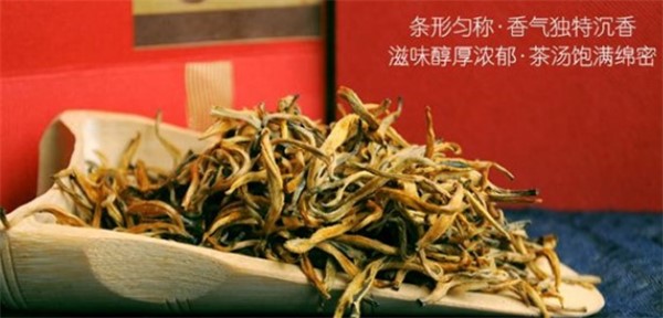 清遠(yuǎn)英德紅茶《英紅九號》多少錢一斤？（收藏）