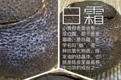 小青柑霜與霉的區(qū)別 柑普茶發(fā)霉和白霜圖