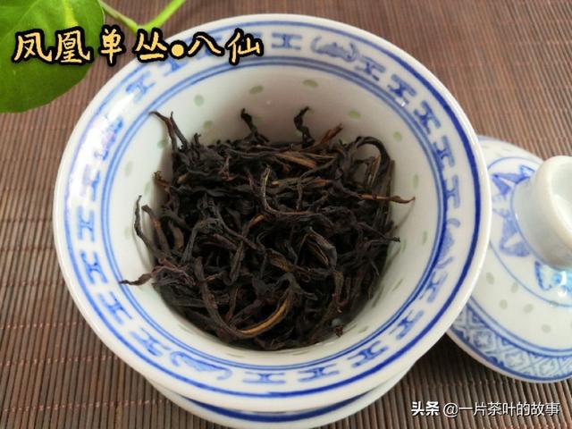 鳳凰單叢茶品鑒要點（收藏）