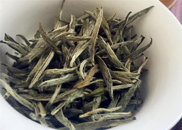 銀針白毫，白茶里最 好的茶，它為什么好？