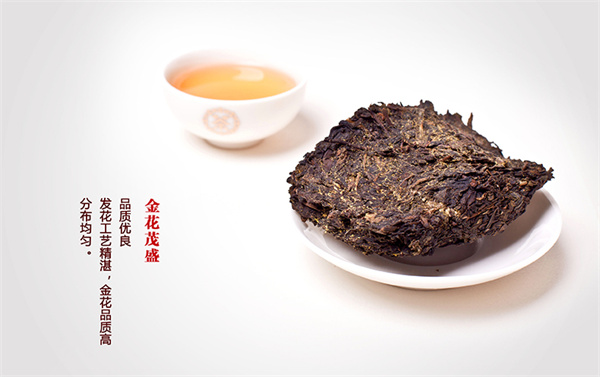 中國古代名茶之一黑茶（黑茶介紹）