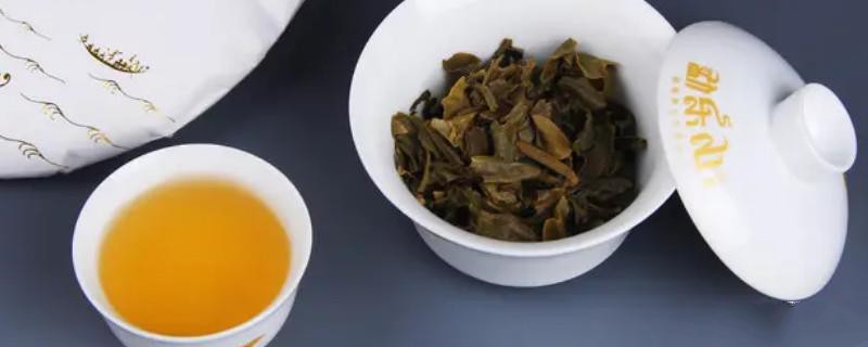 什么季節(jié)的普洱茶最好？