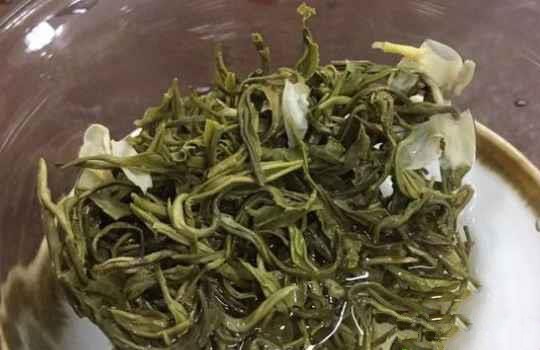 茉莉茶能天天喝嗎？