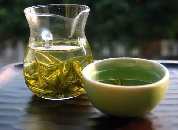 樂昌白毛茶屬于什么茶？樂昌白毛茶的特點(diǎn)？