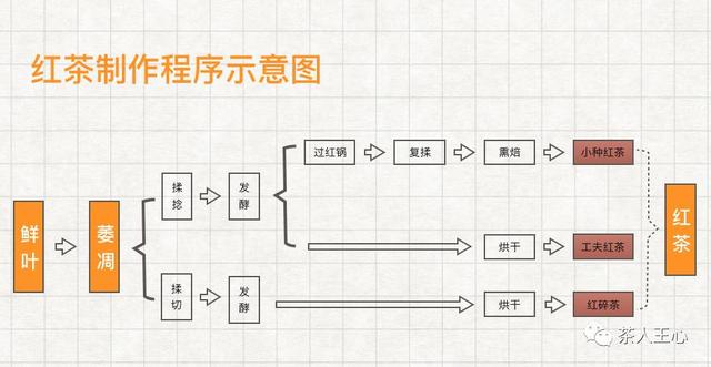 茶人王心：紅茶指南，從入門到精通讀完這篇就夠了