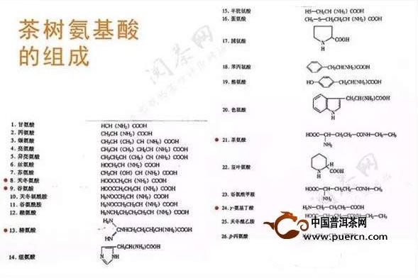 解讀茶葉中的主要成分：氨基酸與茶葉品質(zhì)有什么關(guān)系？