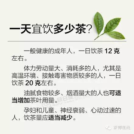 可以不懂茶，但這些要知道