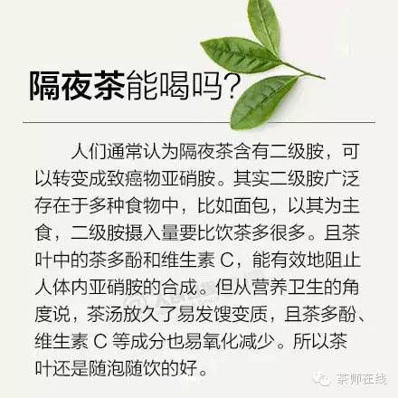 可以不懂茶，但這些要知道