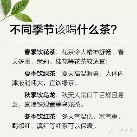 可以不懂茶，但這些要知道