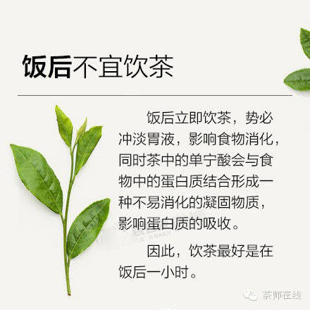 可以不懂茶，但這些要知道