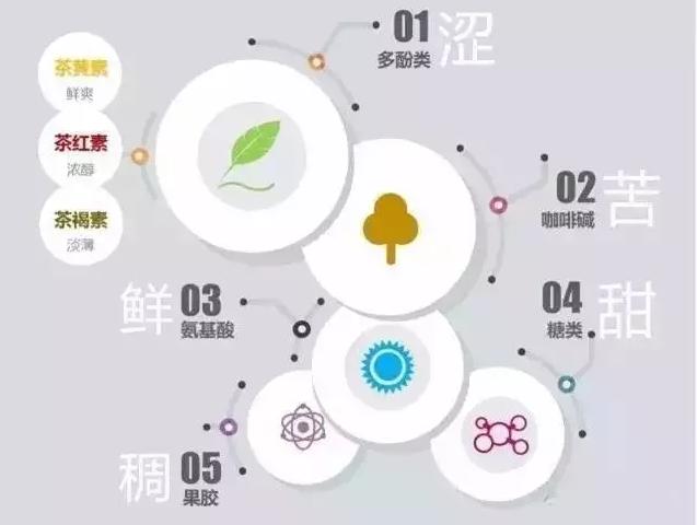 解析茶葉中的化學(xué)成分