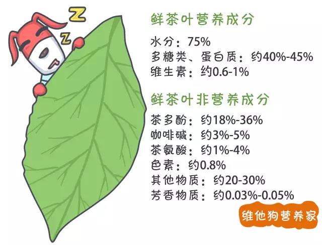 茶藝師都未必說得清楚的茶葉知識(shí)，幾張圖讓你秒懂（中秋送禮