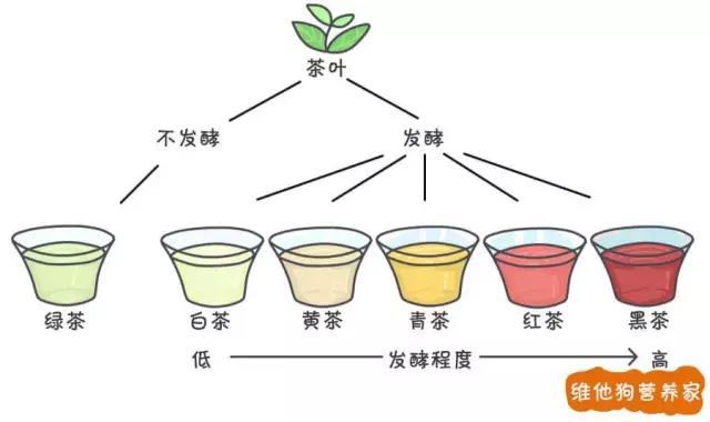 茶藝師都未必說得清楚的茶葉知識(shí)，幾張圖讓你秒懂（中秋送禮