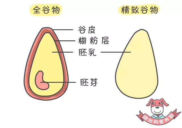 養(yǎng)生不止眼前的枸杞，還有它，這么吃健康又減肥