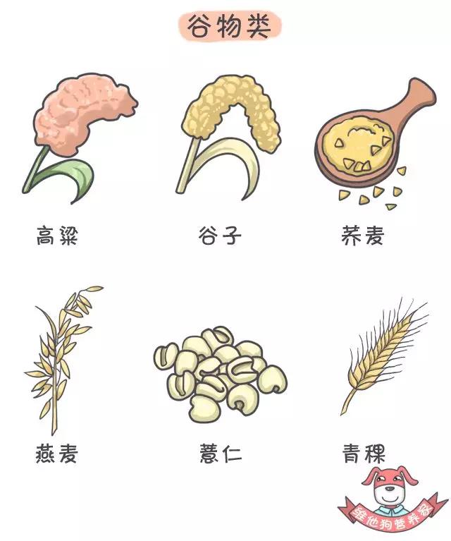 養(yǎng)生不止眼前的枸杞，還有它，這么吃健康又減肥