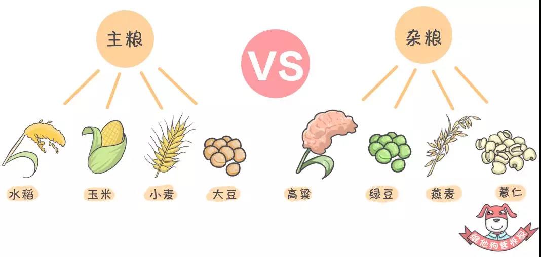 養(yǎng)生不止眼前的枸杞，還有它，這么吃健康又減肥