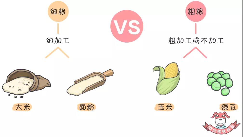 養(yǎng)生不止眼前的枸杞，還有它，這么吃健康又減肥