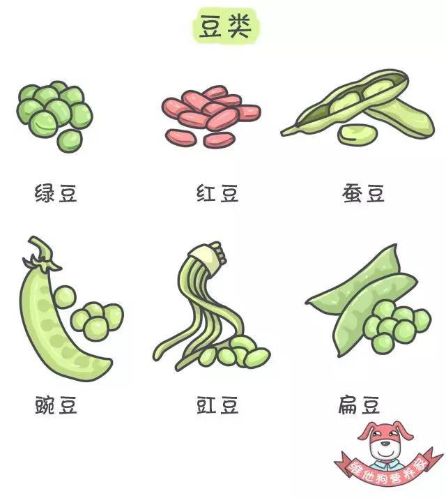 養(yǎng)生不止眼前的枸杞，還有它，這么吃健康又減肥