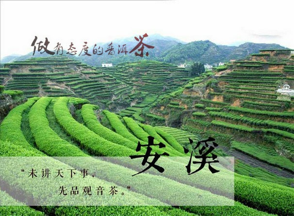 一句話點(diǎn)評(píng)各大城市的飲茶習(xí)俗，有沒(méi)有你的城市？