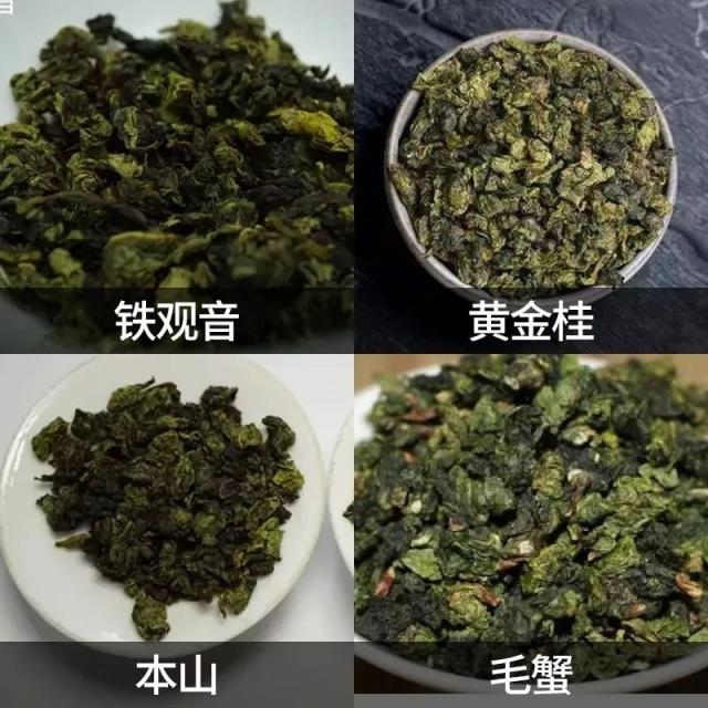 鐵觀音毛蟹本山黃金貴如何區(qū)分_鐵觀音與本山毛蟹的區(qū)別？