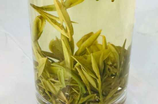 中國四大黃茶_黃茶的代表名茶是？