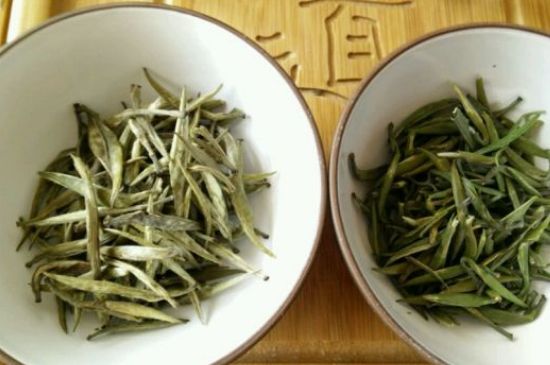 黃茶與綠茶的區(qū)別_黃茶和綠茶怎么區(qū)分？