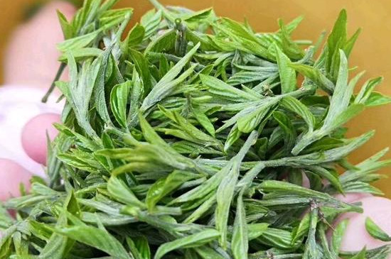 武夷山野茶屬于什么茶_武夷山野茶是紅茶嗎？