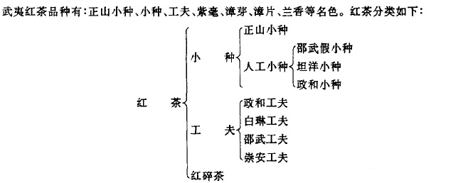 川寧紅茶什么檔次_川寧茶怎么樣？