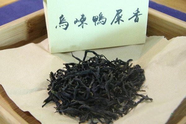 鴨屎香是紅茶還是綠茶_鴨屎香是什么茶