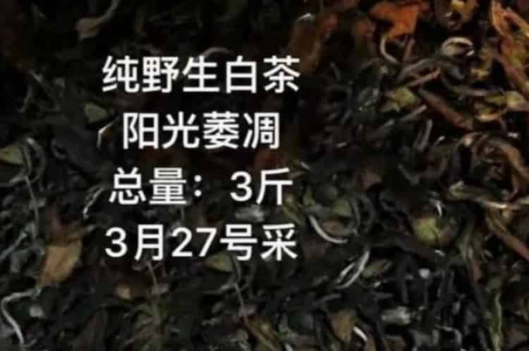 朋友圈賣茶葉廣告詞_朋友圈茶葉推銷怎么寫？