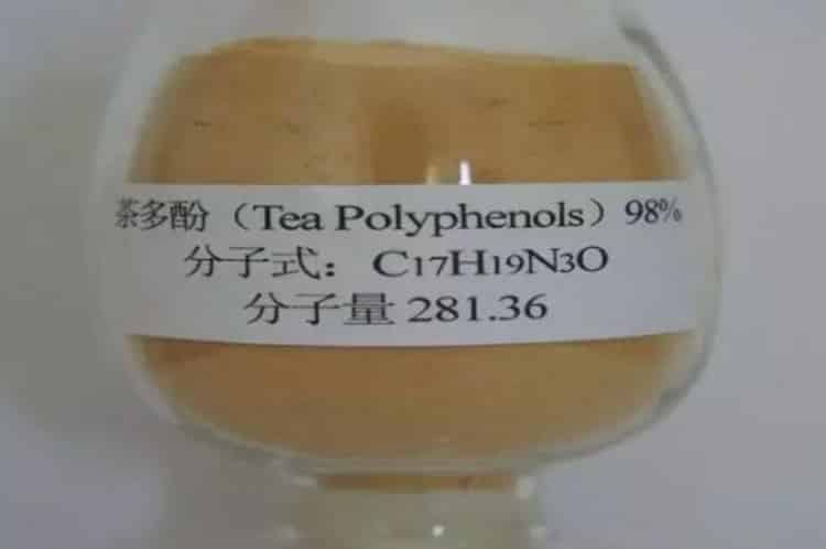 茶多酚的減肥作用_茶多酚片有減肥功效嗎?