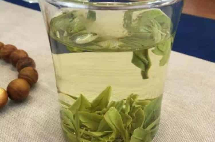 不懂茶葉應(yīng)該怎么進(jìn)貨_批發(fā)茶葉去哪里拿貨？