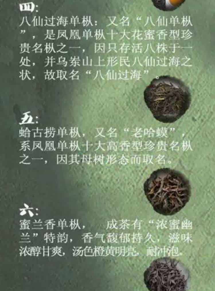 潮州茶葉有哪些品種_潮州有哪種茶葉？