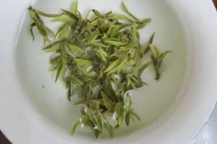 春天喝什么茶最好養(yǎng)生_這個季節(jié)喝什么茶對身體好？