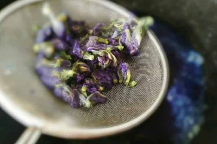 蝶豆花茶的功效_喝蝶豆花茶有什么好處？