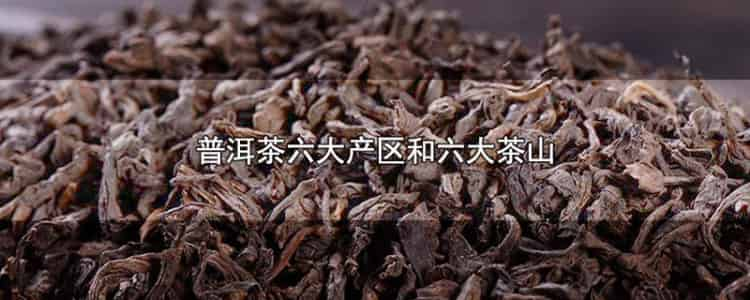 普洱茶六大產(chǎn)區(qū)和六大茶山