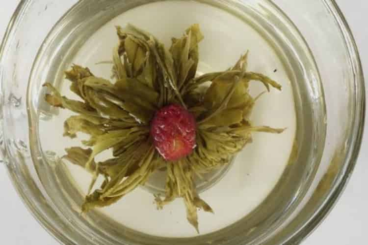 茶花可以曬干_泡水喝嗎？