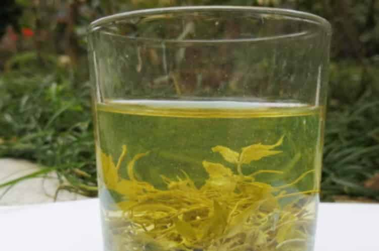 芽尖莓茶喝了對身體有什么好處_芽尖莓茶的功效與作用