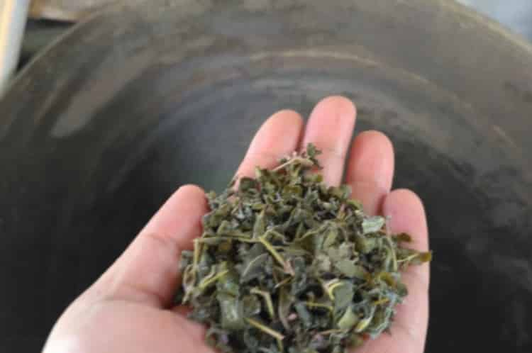 芽尖莓茶喝了對身體有什么好處_芽尖莓茶的功效與作用